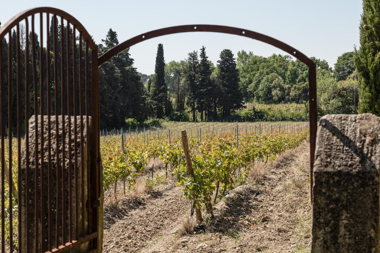 Château des Cinq Cantons Carpentras Extérieur photo